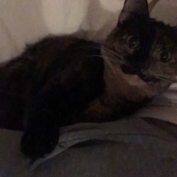 Ab me - Picture 3 of 8